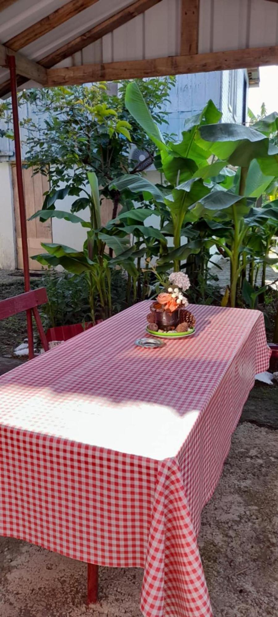 Mano'S Guest House Kobuleti Exterior photo